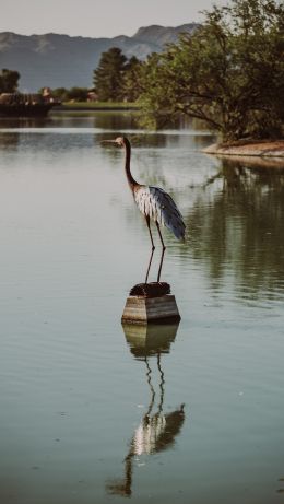 Fountain Hills, Arizona, USA, crane, heron Wallpaper 640x1136