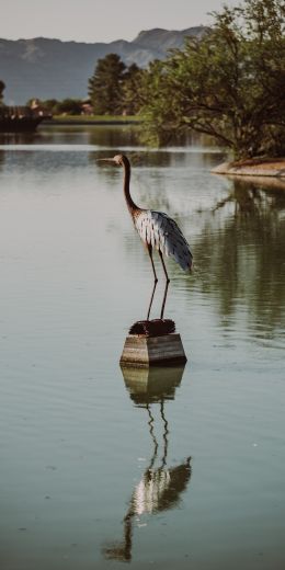 Fountain Hills, Arizona, USA, crane, heron Wallpaper 720x1440