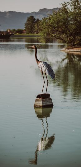 Fountain Hills, Arizona, USA, crane, heron Wallpaper 1080x2220