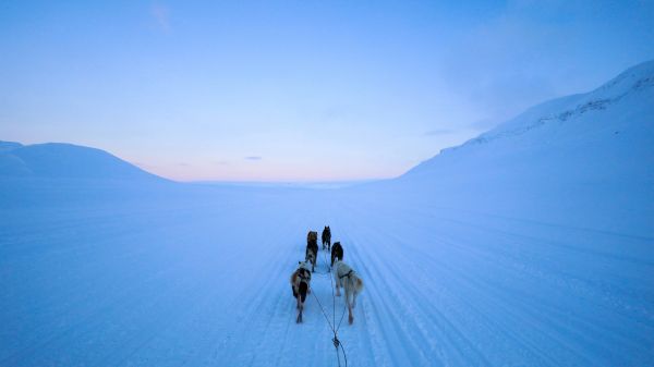 Svalbard, Svalbard and Jan Mayen, dog riding Wallpaper 1600x900