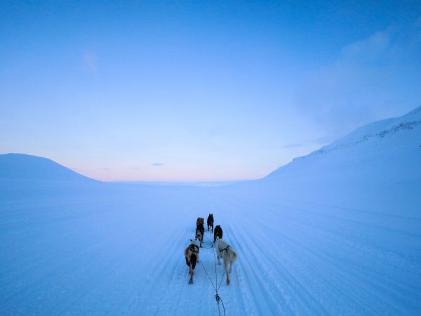 Svalbard, Svalbard and Jan Mayen, dog riding Wallpaper 1024x768