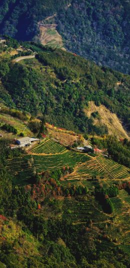 Taiwan, Taiwan, green steps Wallpaper 1080x2220