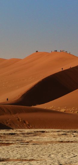 Sossusvlei, Namibia, desert, sands Wallpaper 1080x2280