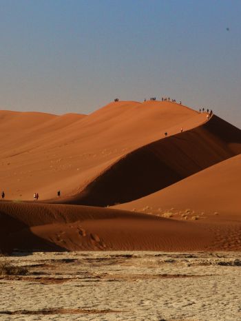 Sossusvlei, Namibia, desert, sands Wallpaper 2048x2732