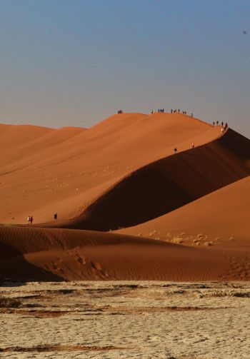 Sossusvlei, Namibia, desert, sands Wallpaper 1640x2360