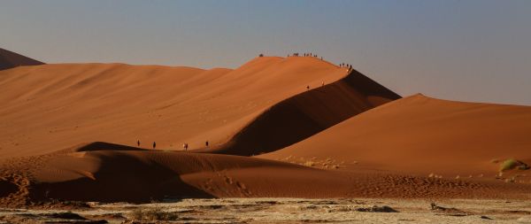 Sossusvlei, Namibia, desert, sands Wallpaper 2560x1080