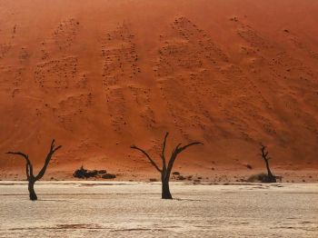 Dead Vlei, Sossusvlei, Namibia, desert, dead trees Wallpaper 1024x768