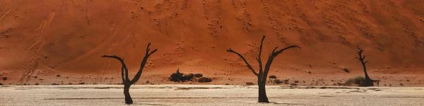 Обои 1590x400 Dead Vlei, Соссусфлей, Намибия, пустыня, мертвые деревья