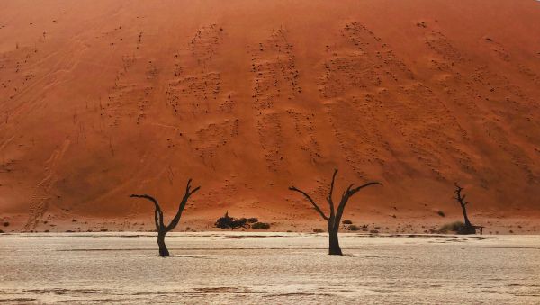 Обои 4032x2280 Dead Vlei, Соссусфлей, Намибия, пустыня, мертвые деревья