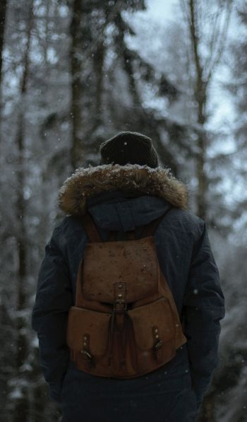 cold, winter forest, snow is falling Wallpaper 600x1024