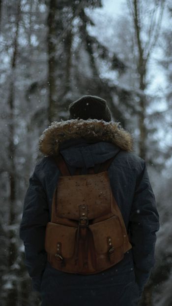 cold, winter forest, snow is falling Wallpaper 640x1136
