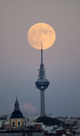 moon over the city, full moon Wallpaper 600x1024