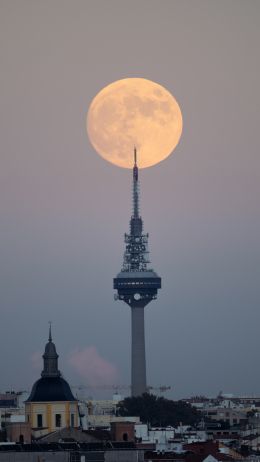 moon over the city, full moon Wallpaper 1440x2560