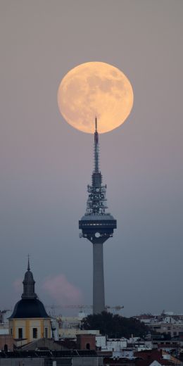 moon over the city, full moon Wallpaper 720x1440