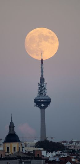 moon over the city, full moon Wallpaper 1440x2960