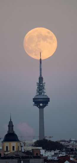 moon over the city, full moon Wallpaper 720x1520