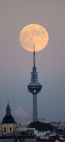 moon over the city, full moon Wallpaper 1080x2340