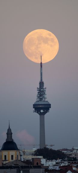 moon over the city, full moon Wallpaper 1440x3200