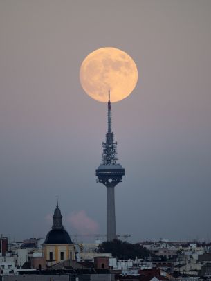 moon over the city, full moon Wallpaper 2048x2732