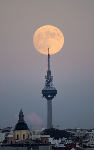 moon over the city, full moon Wallpaper 1752x2800