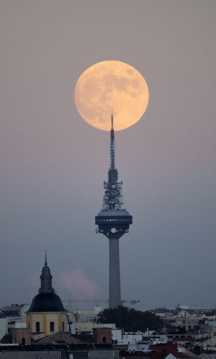 moon over the city, full moon Wallpaper 1200x2000