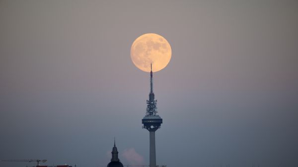 moon over the city, full moon Wallpaper 2560x1440