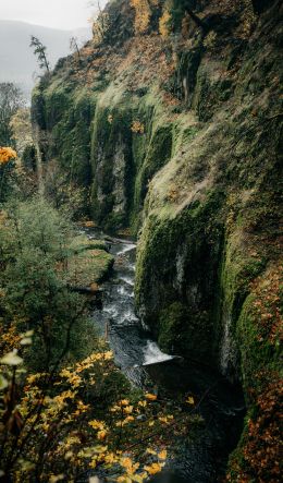 rocks, greens, cliff Wallpaper 600x1024