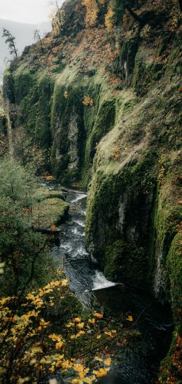 rocks, greens, cliff Wallpaper 1080x2280