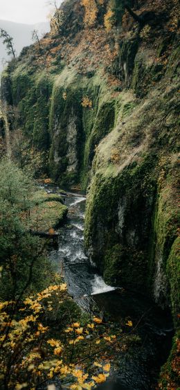 rocks, greens, cliff Wallpaper 1080x2340