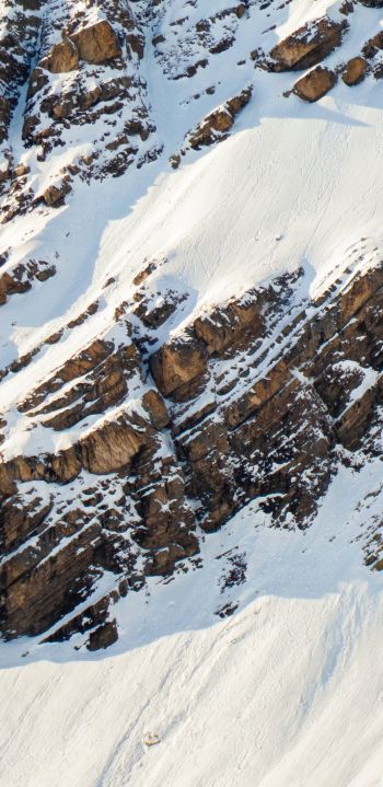 snow, mountain, descent Wallpaper 1440x2960
