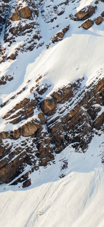 snow, mountain, descent Wallpaper 1242x2688