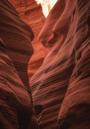 Antelope Canyon, Arizona, USA, gorge Wallpaper 1668x2388