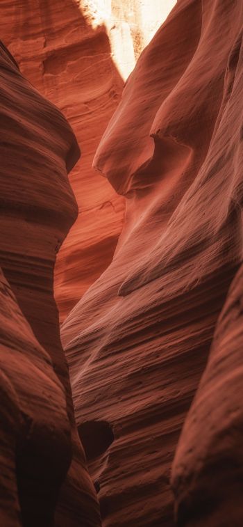 Antelope Canyon, Arizona, USA, gorge Wallpaper 1242x2688