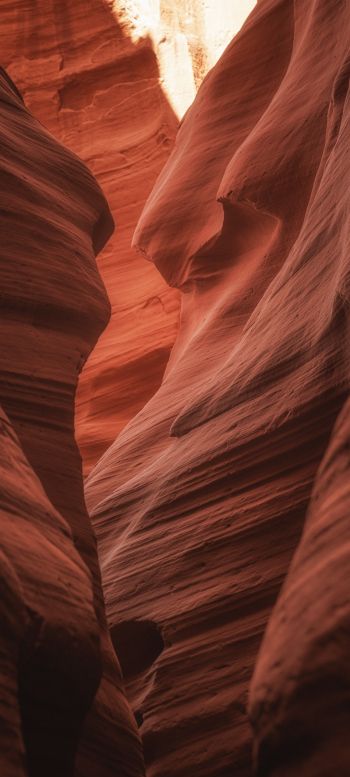 Antelope Canyon, Arizona, USA, gorge Wallpaper 720x1600