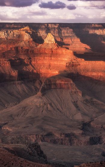 Grand Canyon, Arizona, USA Wallpaper 1752x2800