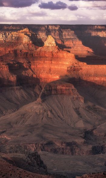 Grand Canyon, Arizona, USA Wallpaper 1200x2000