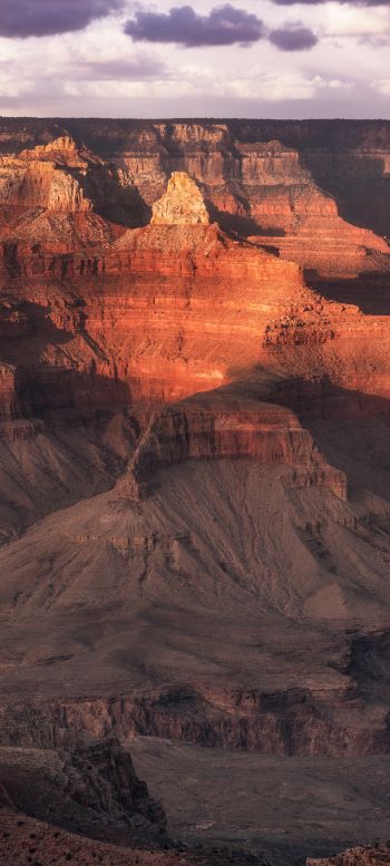 Grand Canyon, Arizona, USA Wallpaper 1080x2400