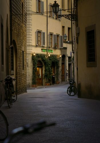 Обои 1668x2388 столичный город Флоренция, Италия