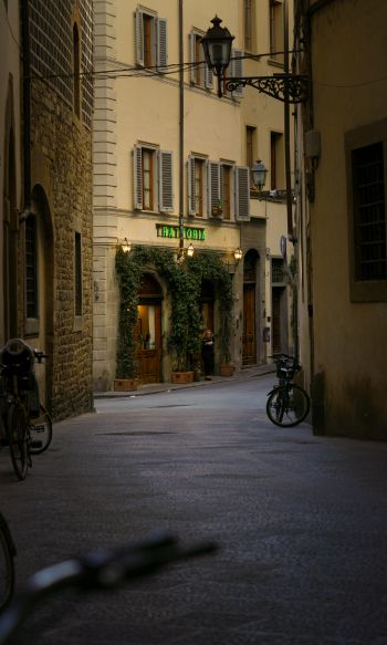 Обои 1200x2000 столичный город Флоренция, Италия