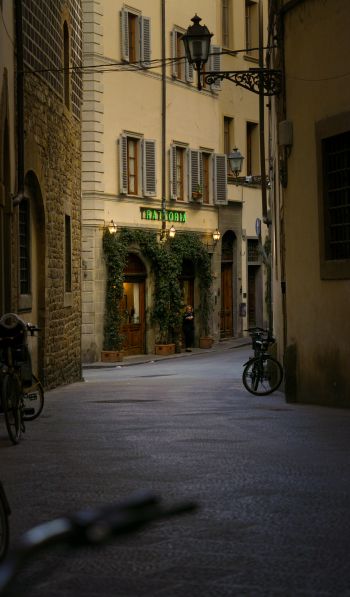 Обои 600x1024 столичный город Флоренция, Италия