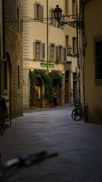 Обои 750x1334 столичный город Флоренция, Италия