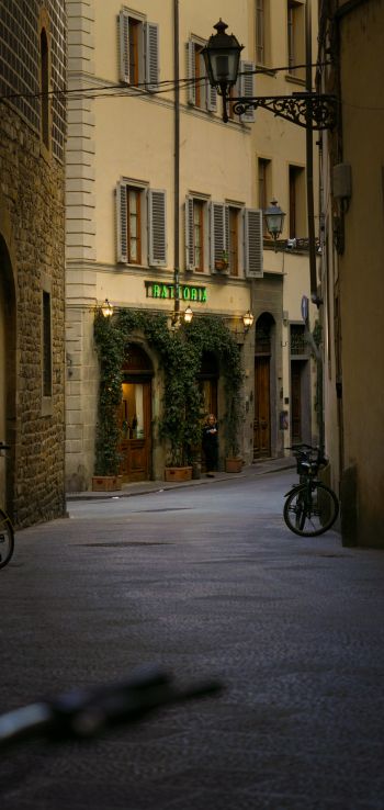 metropolitan city of florence, Italy Wallpaper 1080x2280