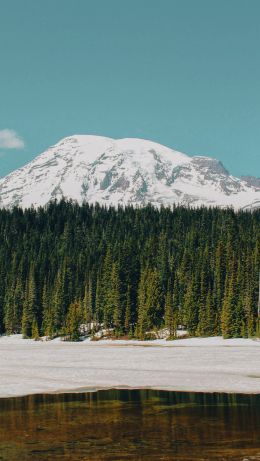 Mount Rainier, USA, mountains Wallpaper 640x1136