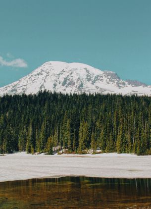 Mount Rainier, USA, mountains Wallpaper 3265x4520