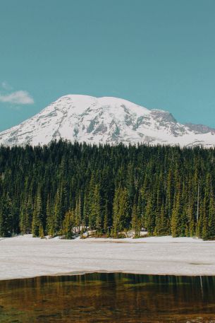 Mount Rainier, USA, mountains Wallpaper 640x960