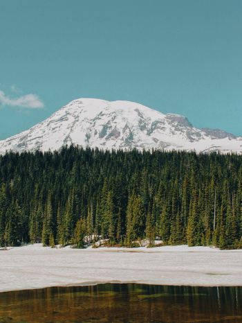 Mount Rainier, USA, mountains Wallpaper 1620x2160