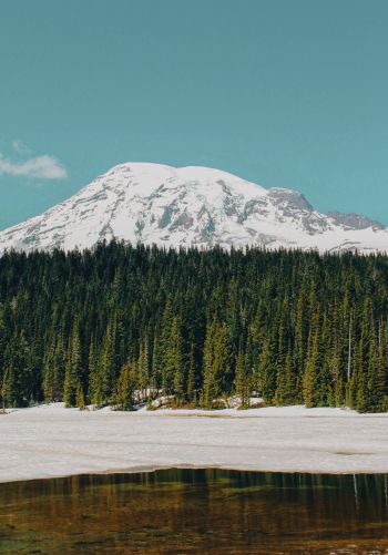 Mount Rainier, USA, mountains Wallpaper 1668x2388