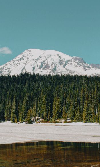 Mount Rainier, USA, mountains Wallpaper 1200x2000