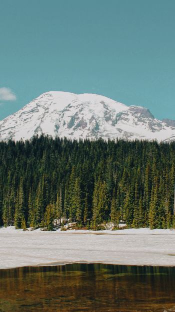Mount Rainier, USA, mountains Wallpaper 2160x3840