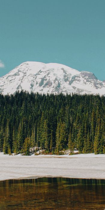 Mount Rainier, USA, mountains Wallpaper 720x1440